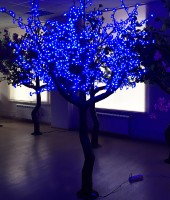 Сакура на натуральном стволе 2,5м 1280 светодиодов. Синяя