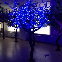 Сакура на натуральном стволе 2,5м 1280 светодиодов. Синяя