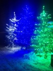 Светодиодный клип-лайт c флеш-эффектом для светового украшения деревьев. Зеленый