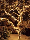 Светодиодный клип-лайт для светового украшения деревьев. Желтый (теплый белый)
