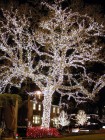 Светодиодный клип-лайт для светового украшения деревьев. Белый