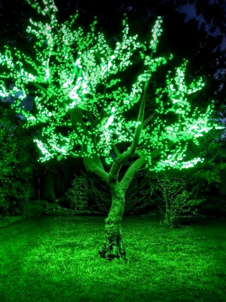 Светодиодный клип-лайт для светового украшения деревьев. Зеленый