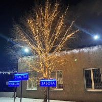 Подсветка деревьев светодиодным клип-лайтом