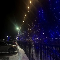 Подсветка деревьев светодиодным клип-лайтом