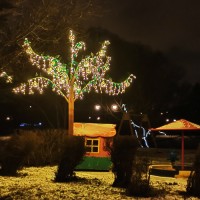 Уникальное световое дерево для улицы