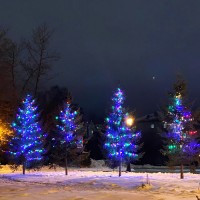 Разноцветные светодиодные гирлянды для деревьев